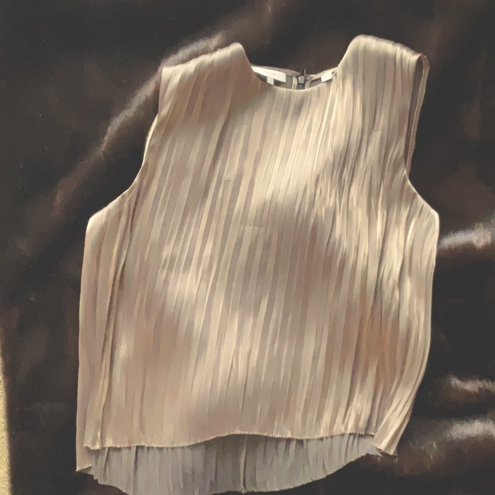 New w/o tags. Metallic pleated top. Wear  it for evening out or with jeans.